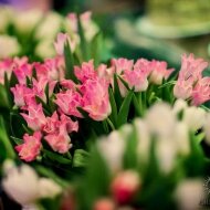 577258_619657241393510_841151191_n