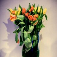 625671_619657918060109_125343870_n